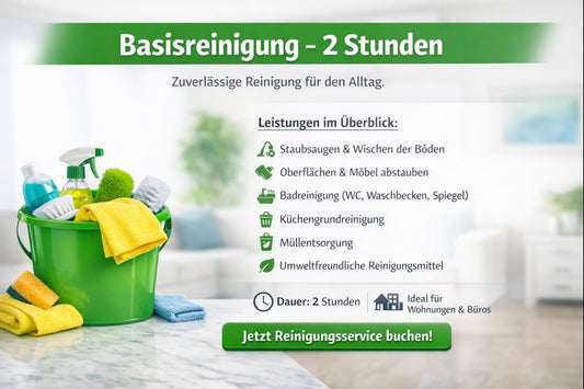 🇩🇪 Basisreinigung